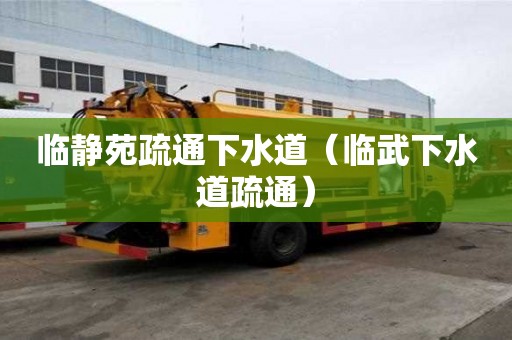 臨靜苑疏通下水道（臨武下水道疏通）