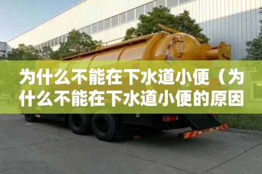 為什么不能在下水道小便（為什么不能在下水道小便的原因）