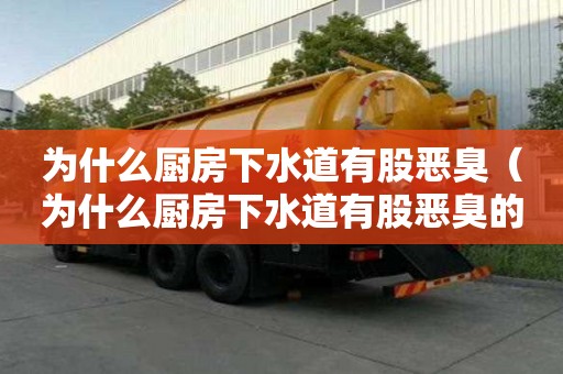 為什么廚房下水道有股惡臭（為什么廚房下水道有股惡臭的味道）