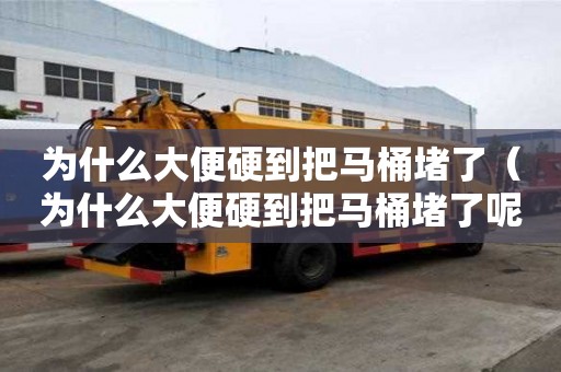 為什么大便硬到把馬桶堵了（為什么大便硬到把馬桶堵了呢）