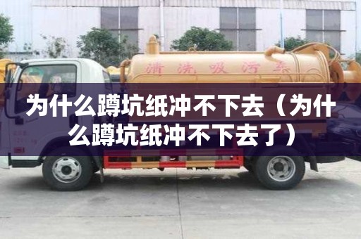 為什么蹲坑紙沖不下去（為什么蹲坑紙沖不下去了）