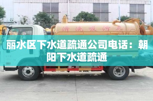 麗水區下水道疏通公司電話：朝陽下水道疏通