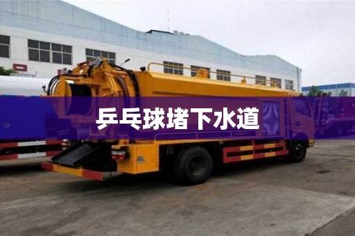 乒乓球堵下水道