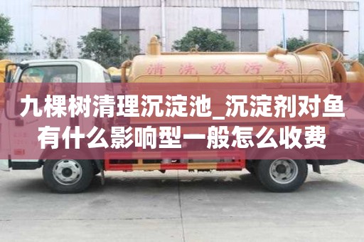 九棵樹清理沉淀池_沉淀劑對魚有什么影響型一般怎么收費(fèi)