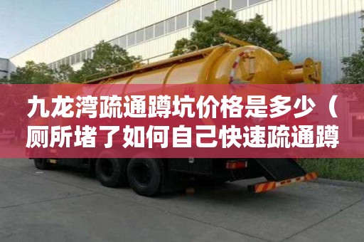 九龍灣疏通蹲坑價格是多少（廁所堵了如何自己快速疏通蹲坑堵塞）