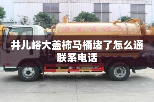 井兒峪大蓋柿馬桶堵了怎么通聯系電話