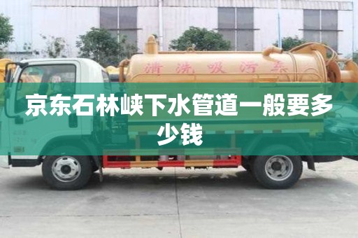 京東石林峽下水管道一般要多少錢