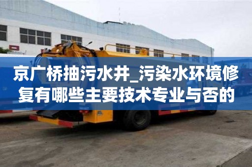 京廣橋抽污水井_污染水環境修復有哪些主要技術專業與否的條件