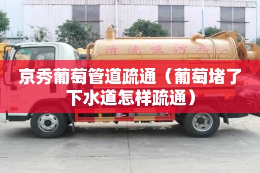 京秀葡萄管道疏通（葡萄堵了下水道怎樣疏通）
