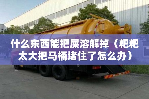 什么東西能把屎溶解掉（粑粑太大把馬桶堵住了怎么辦）