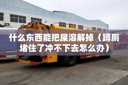 什么東西能把屎溶解掉（蹲廁堵住了沖不下去怎么辦）