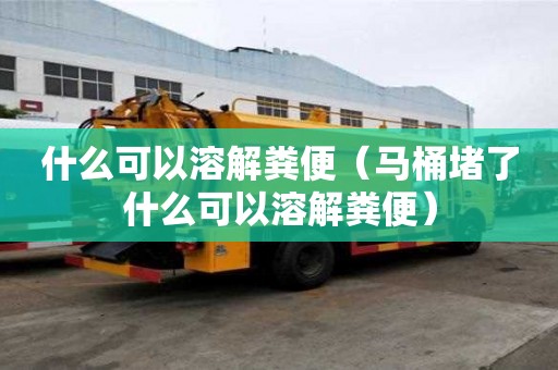 什么可以溶解糞便（馬桶堵了什么可以溶解糞便）