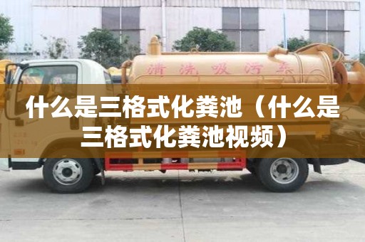 什么是三格式化糞池（什么是三格式化糞池視頻）