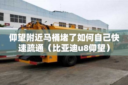 仰望附近馬桶堵了如何自己快速疏通（比亞迪u8仰望）