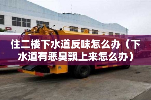 住二樓下水道反味怎么辦（下水道有惡臭飄上來怎么辦）