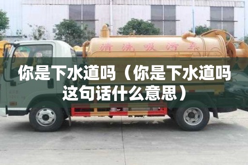 你是下水道嗎（你是下水道嗎這句話什么意思）