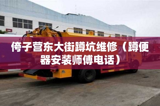 侉子營東大街蹲坑維修（蹲便器安裝師傅電話）
