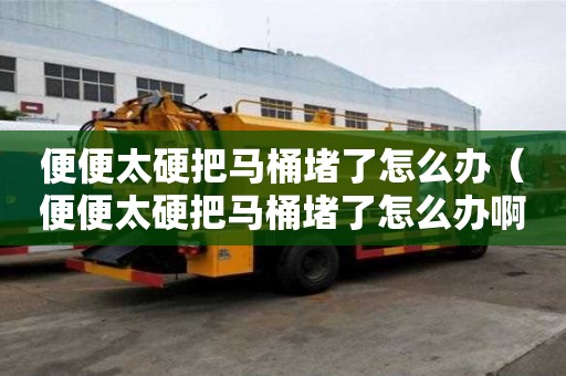 便便太硬把馬桶堵了怎么辦（便便太硬把馬桶堵了怎么辦啊）