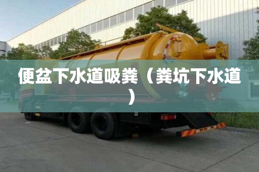 便盆下水道吸糞（糞坑下水道）