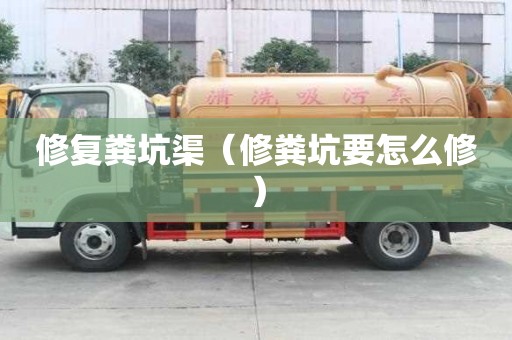 修復糞坑渠（修糞坑要怎么修）