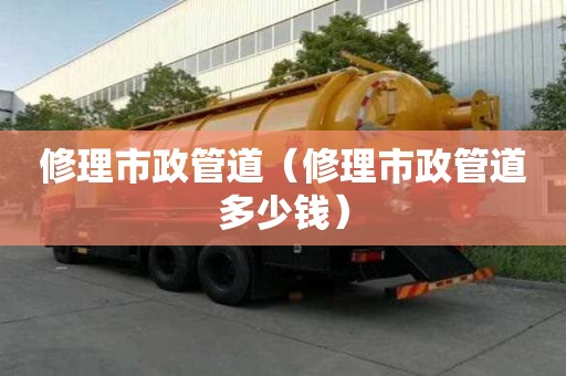 修理市政管道（修理市政管道多少錢）