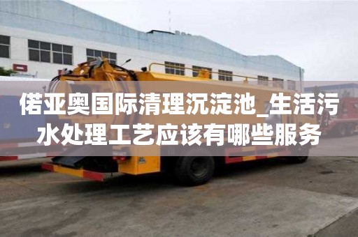 偌亞奧國際清理沉淀池_生活污水處理工藝應該有哪些服務