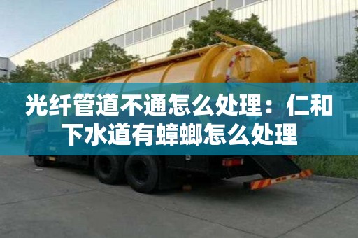 光纖管道不通怎么處理：仁和下水道有蟑螂怎么處理