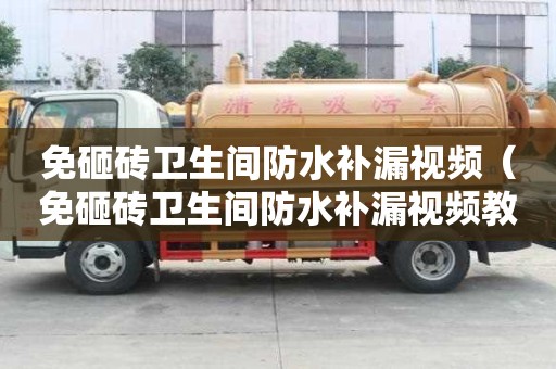 免砸磚衛(wèi)生間防水補(bǔ)漏視頻（免砸磚衛(wèi)生間防水補(bǔ)漏視頻教程）