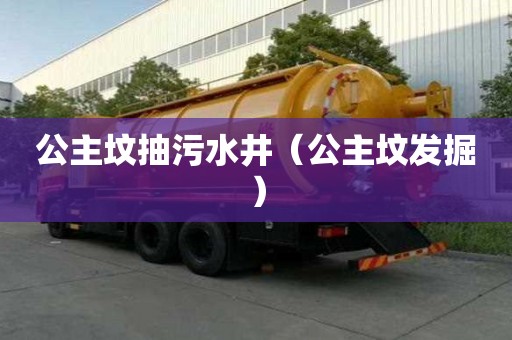 公主墳抽污水井（公主墳發掘）
