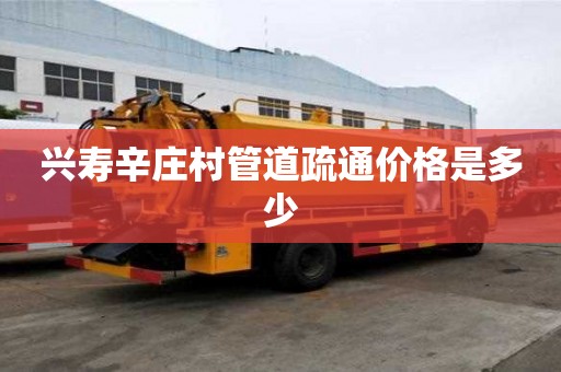 興壽辛莊村管道疏通價格是多少