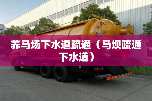 養馬場下水道疏通（馬壩疏通下水道）