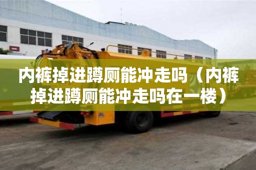 內褲掉進蹲廁能沖走嗎（內褲掉進蹲廁能沖走嗎在一樓）