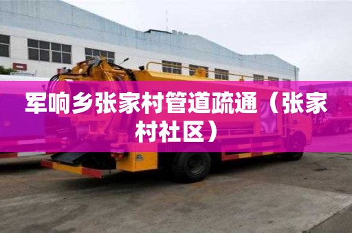 軍響鄉張家村管道疏通（張家村社區）