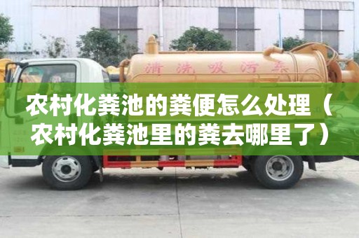 農村化糞池的糞便怎么處理（農村化糞池里的糞去哪里了）