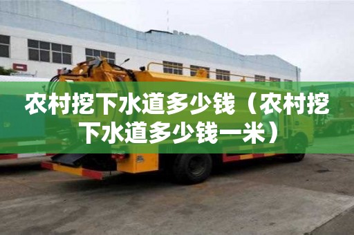 農村挖下水道多少錢（農村挖下水道多少錢一米）
