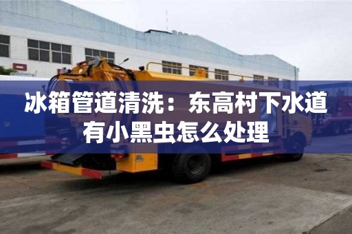 冰箱管道清洗：東高村下水道有小黑蟲怎么處理