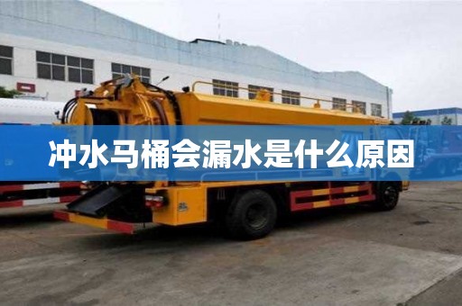 沖水馬桶會漏水是什么原因