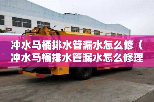 沖水馬桶排水管漏水怎么修（沖水馬桶排水管漏水怎么修理）