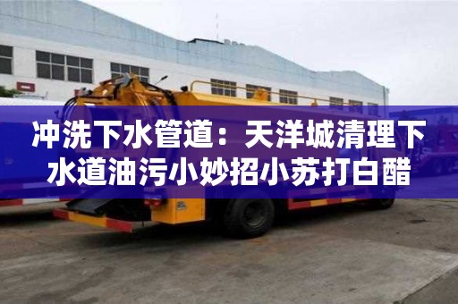 沖洗下水管道：天洋城清理下水道油污小妙招小蘇打白醋