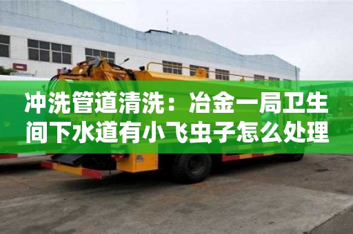 沖洗管道清洗：冶金一局衛(wèi)生間下水道有小飛蟲子怎么處理