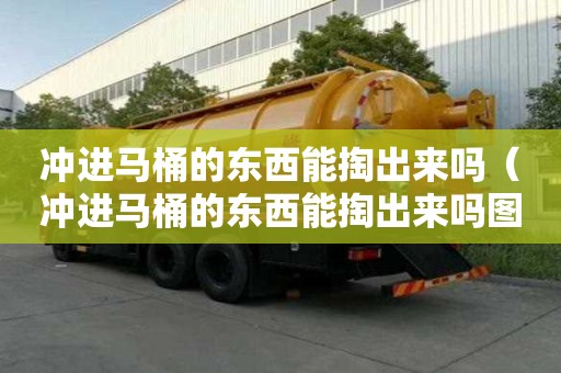 沖進馬桶的東西能掏出來嗎（沖進馬桶的東西能掏出來嗎圖片）