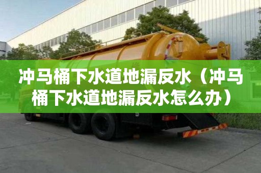 沖馬桶下水道地漏反水（沖馬桶下水道地漏反水怎么辦）