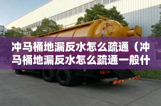 沖馬桶地漏反水怎么疏通（沖馬桶地漏反水怎么疏通一般什么價格）
