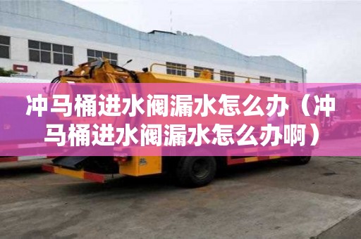 沖馬桶進水閥漏水怎么辦（沖馬桶進水閥漏水怎么辦啊）