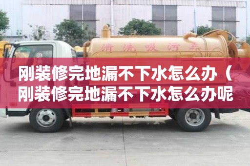 剛裝修完地漏不下水怎么辦（剛裝修完地漏不下水怎么辦呢）