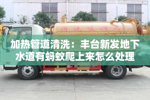 加熱管道清洗：豐臺新發地下水道有螞蟻爬上來怎么處理