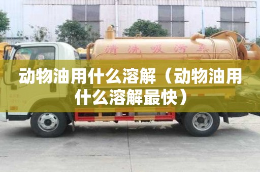 動物油用什么溶解（動物油用什么溶解最快）