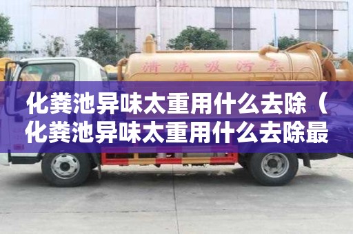 化糞池異味太重用什么去除（化糞池異味太重用什么去除最好）