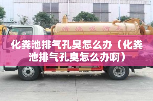 化糞池排氣孔臭怎么辦（化糞池排氣孔臭怎么辦啊）