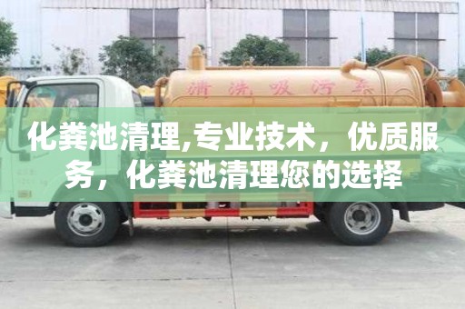 化糞池清理,專業(yè)技術(shù)，優(yōu)質(zhì)服務，化糞池清理您的選擇